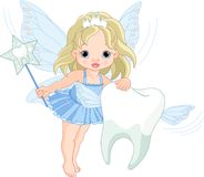 Cute Tooth Fairy Flying With Tooth Royalty Free Stock Image