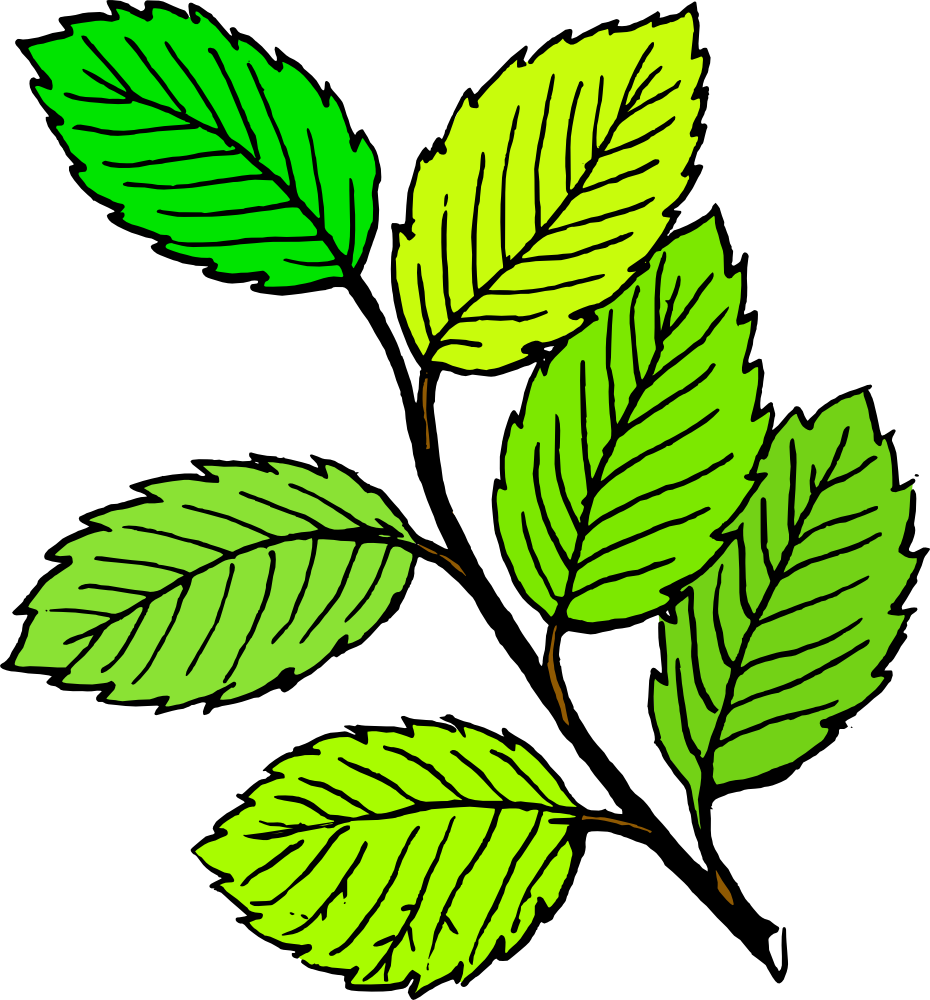 Pile Of Leaves Clip Art   Clipart Panda   Free Clipart Images