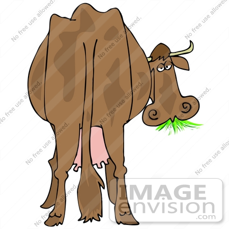 Royalty Free Animal Clipart Of A Tired Old Brown Dairy Cow From Behind    