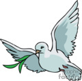 White Dove Flying With A Branch In Its Mouth 2