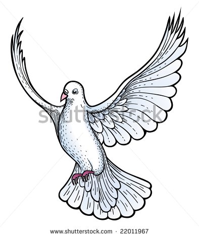 White Dove Graphic