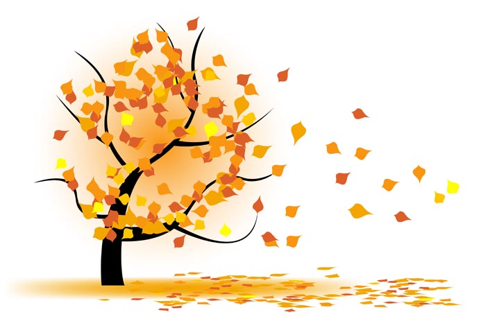 Arbre   Automne   Autumn Tree Clipart