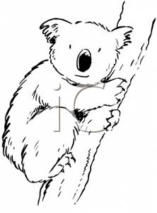 Clipart Image Of Black And White Koala Bear 