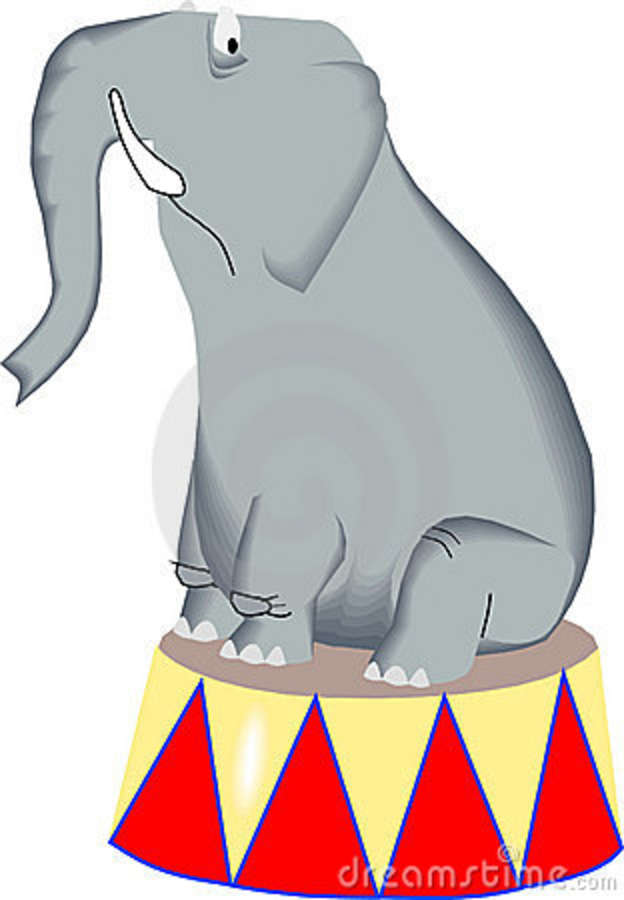 Cute Elephant Stock Images   Image  6841034