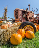 Harvest Time Royalty Free Stock Images