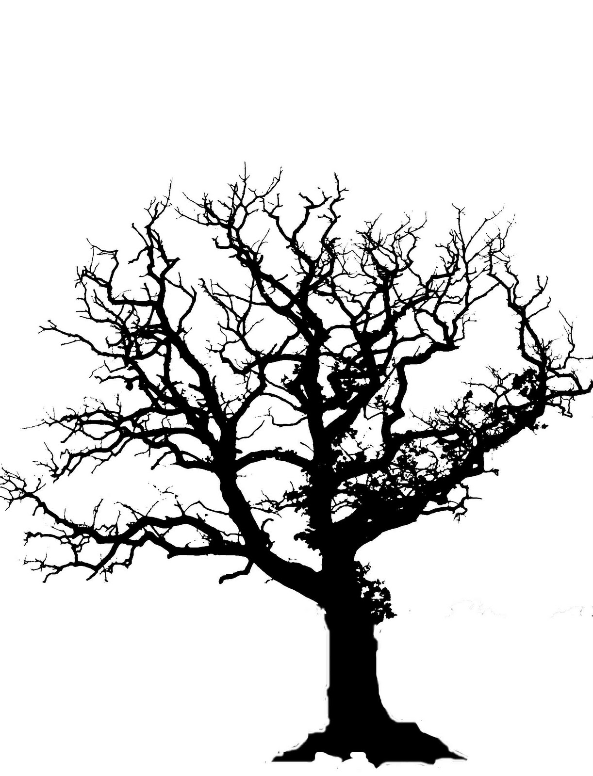 Oak Tree Silhouette With Roots   Clipart Panda   Free Clipart Images