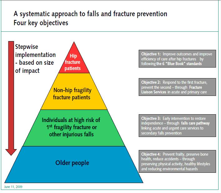 Patient Falls Prevention Systematic Approach To Falls