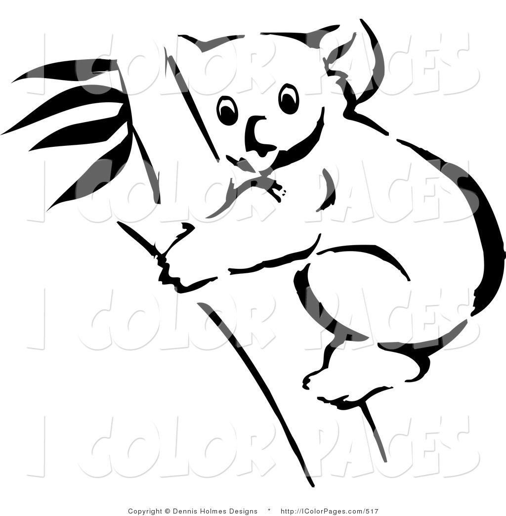 Vector Coloring Page Of A Black And White Outline Of A Koala In A Tree    