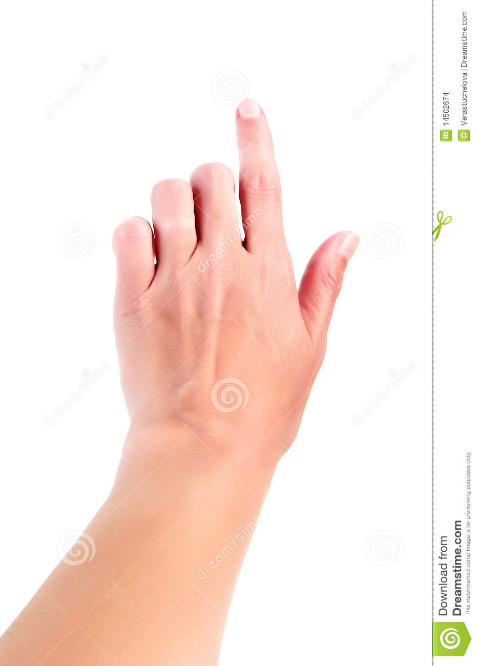 Woman S Pointing Hand Stock Images   Image  14502674