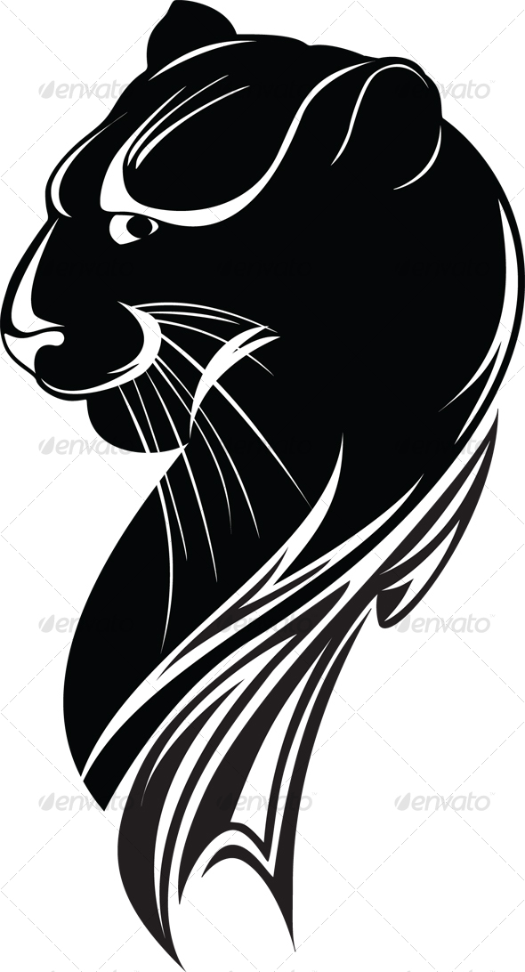Black Panther   Animals Illustrations