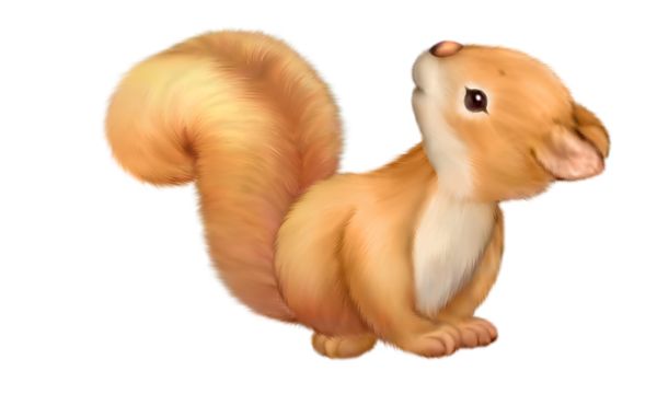 Cute Squirrel Free Clipart   Cute Clip Art   Pinterest