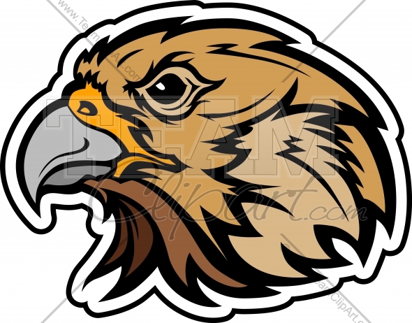Falcon Mascot Clipart Image In Downloadable Vector Format