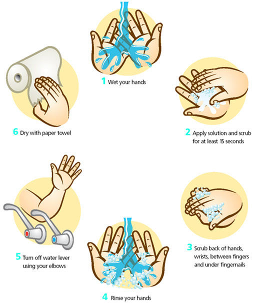 H1n1 Graphics  How To Wash Your Hands  Surprise     Visualjournalism
