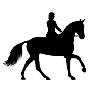 Horse Clip Art And Graphics