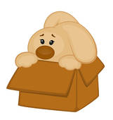 Illustration Of Cartoon Little Toy Bunny In Box K5477236   Search Clip
