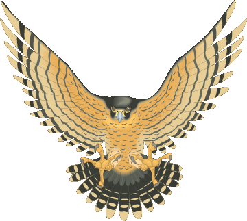 Mascot   Clipart Library   Falcons