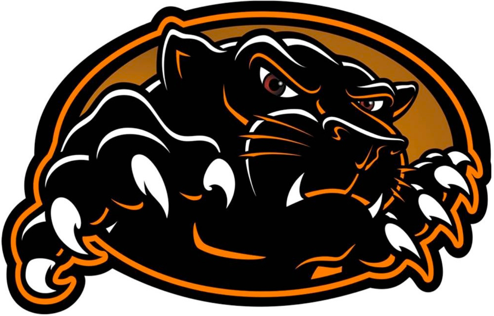 Orange High School Panthers