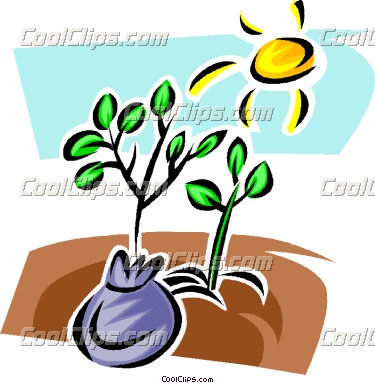 Back   Gallery For   Planting A Seed Clip Art