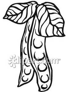 Black And White Pea Pods   Royalty Free Clipart Picture