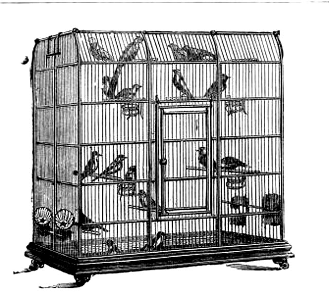 Corner Images  Vintage Bird Cage   Black And White Clip Art Image
