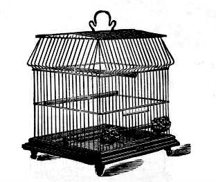 Vintage Pig Clip Art  Vintage Antique Black   White Bird Cage Clip Art