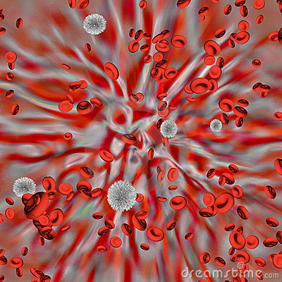 Body Tissues With Blood Cells