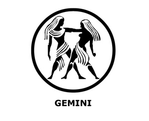 Gemini Zodiac Sign   Luxury Lifestyle Design   Architecture Blog By
