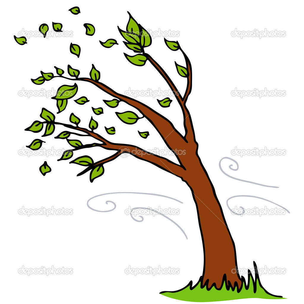 Wind Blowing Leaves Off Tree   Stock Vector   Cteconsulting    