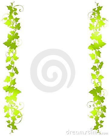 An Illustration Featuring A Pair Of Green Leafy Vine Borders