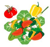 Fig Rocket Salad Stock Vectors Illustrations   Clipart