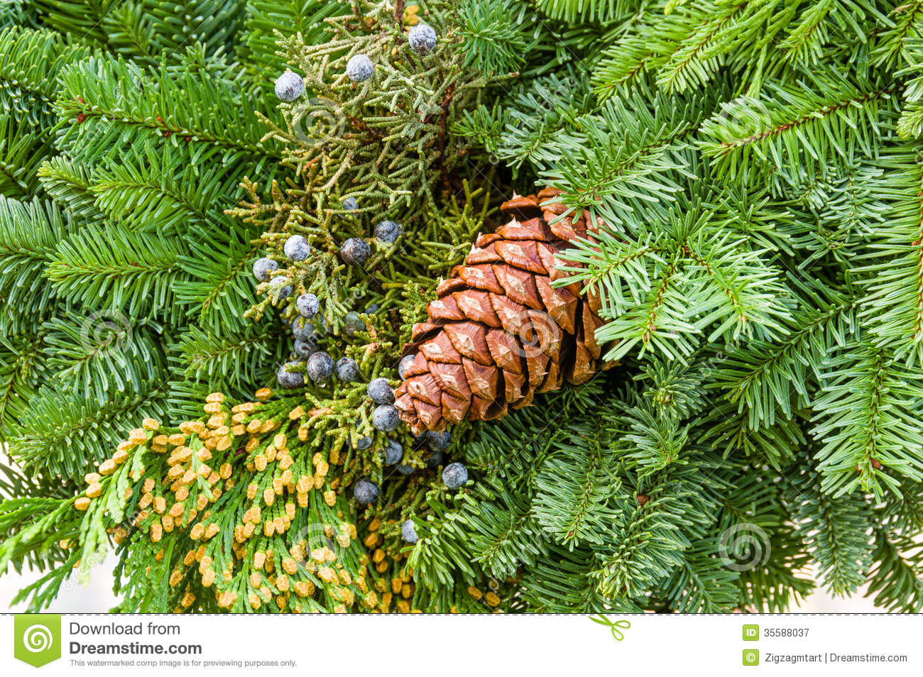 Fresh Christmas Decorations With Greens Royalty Free Stock Photography    