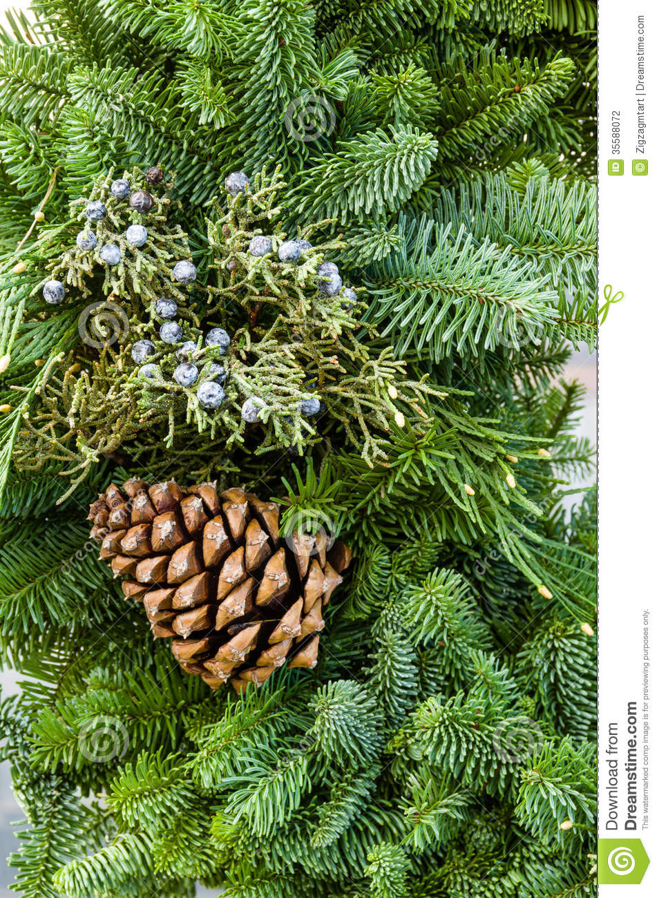 Fresh Christmas Decorations With Greens Stock Photography   Image    