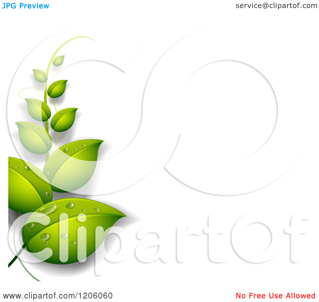 Of A Green Leaf Vine And White Copyspace   Royalty Free Vector Clipart