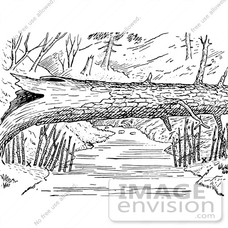 River Clip Art Black And White  61559 Clipart Of A Log Over A