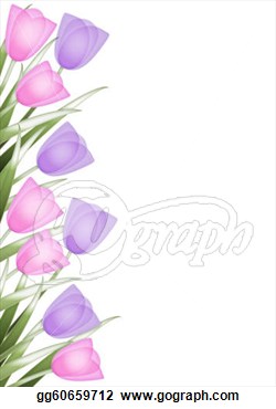Stock Illustrations   Tulip Border  Stock Clipart Gg60659712   Gograph