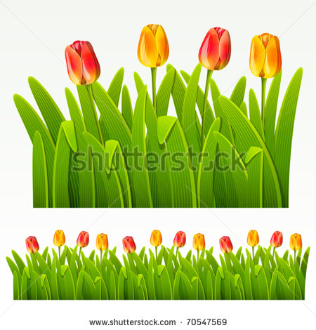 Tulip Border Clip Art Herbaceous Border Of Red