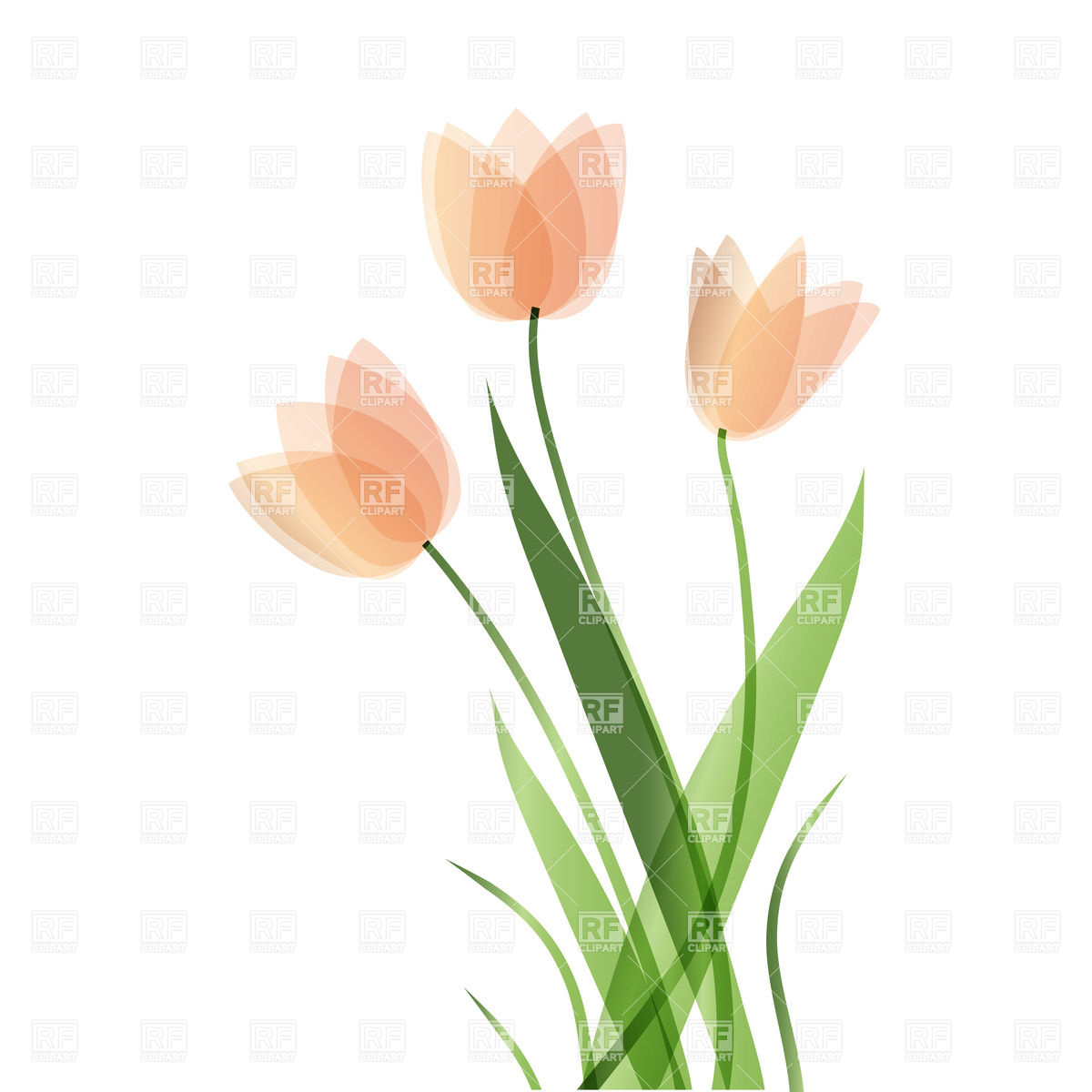 Tulip Border Clipart Simple Tulips On White