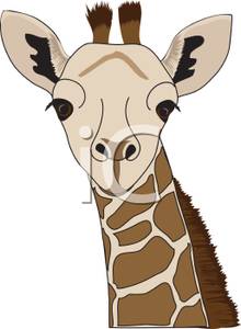 Face Of A Giraffe   Royalty Free Clipart Picture