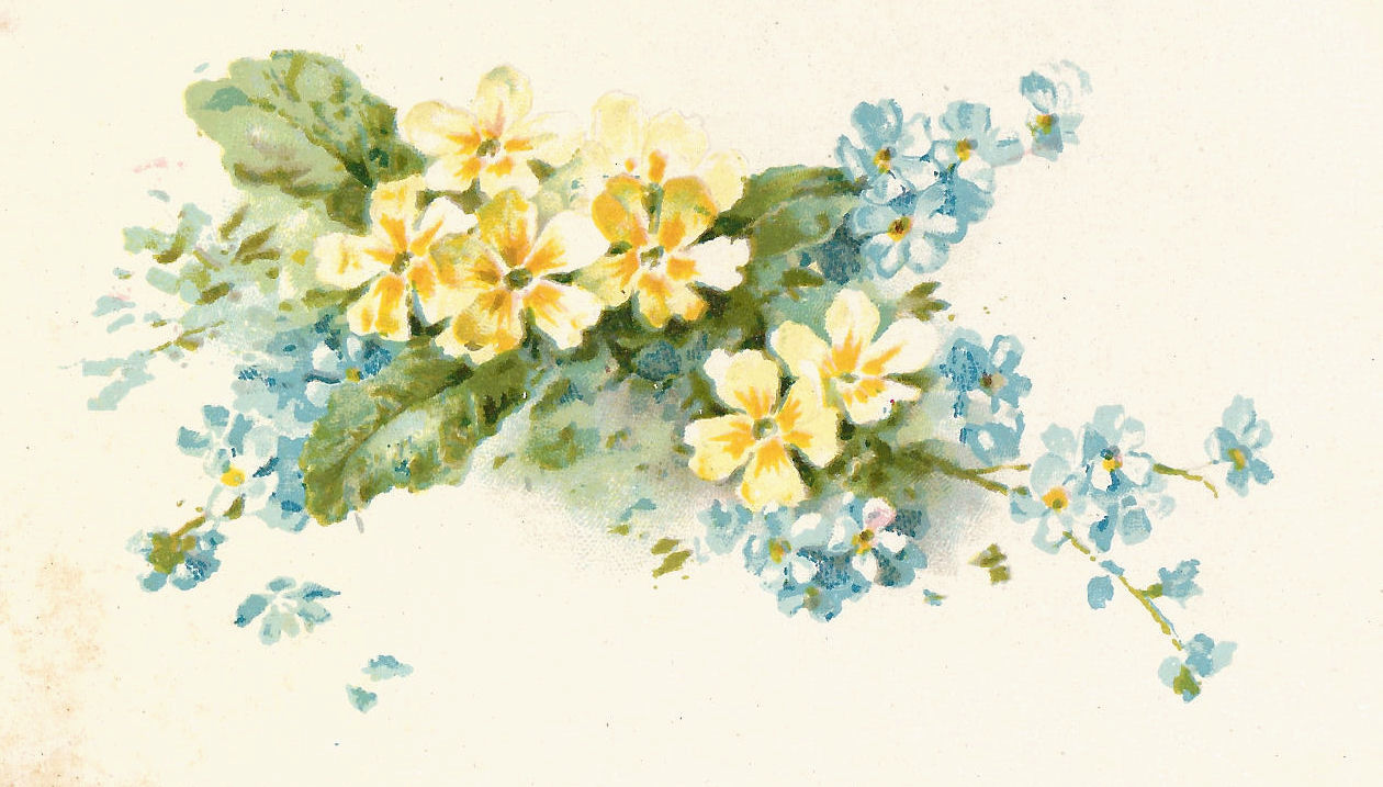 Free Flower Graphic  Vintage Illustration Of Blue And Yellow Flowers