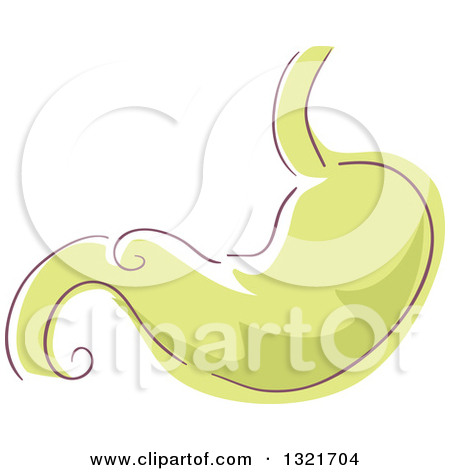 Royalty Free  Rf  Stomach Clipart Illustrations Vector Graphics  1