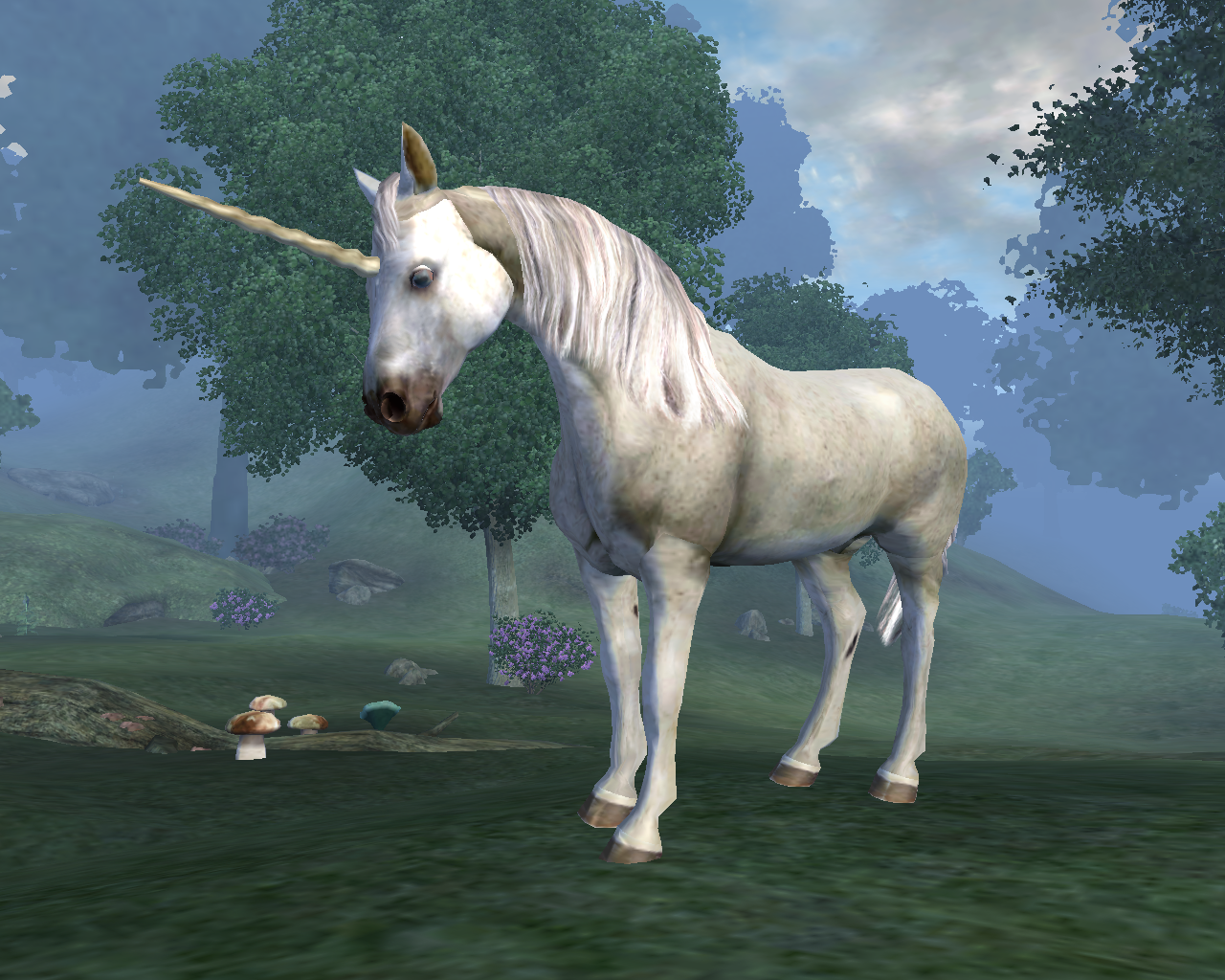 Unicorn   The Elder Scrolls Wiki