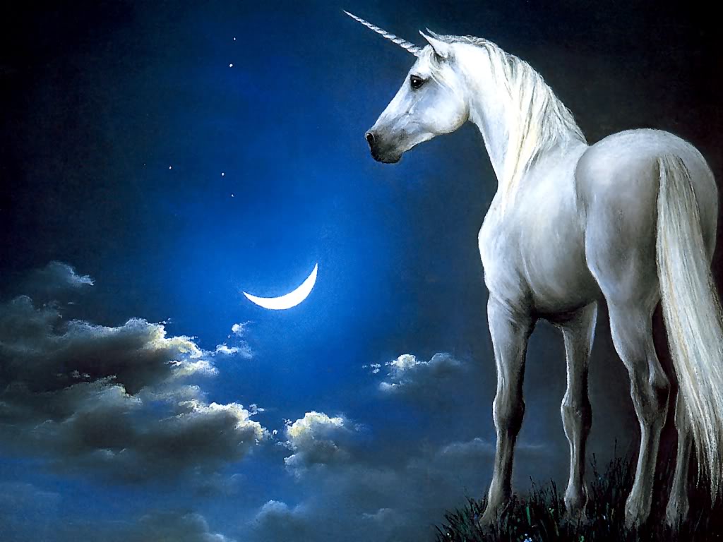 Unicorn Unicorn The Horned Horse This One Is Truly A Mystical Creature    