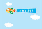 Airplane Baby Boy Announcement Airplane Baby Boy Announcement Airplane    