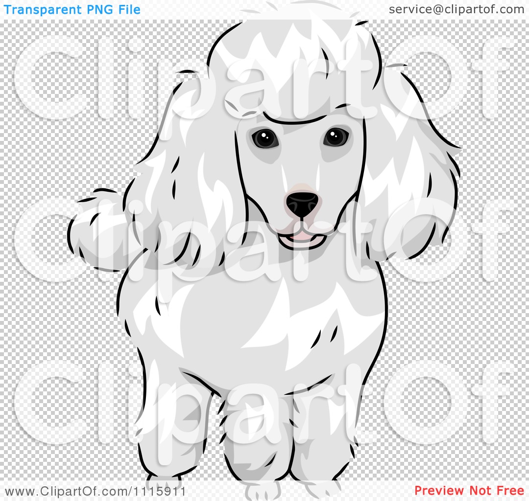 Clipart Cute White Poodle Dog   Royalty Free Vector Illustration By