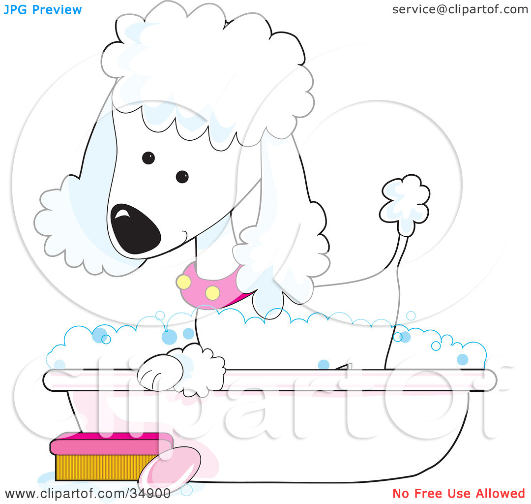 Clipart Illustration Of A Cute White Poodle In A Pink Collar Taking A
