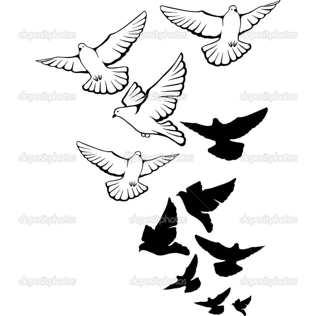Flying Pigeons Background  Hand Drawn Vector Illustration    Stock