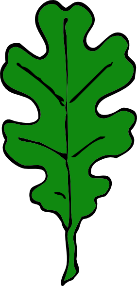 Green Oak Leaf Clip Art At Clker Com   Vector Clip Art Online Royalty