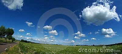Bright Blue Sky Together With Wheat Field Margeritas And The Grass