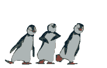 Pictures Displaypictures Funny Avatar Dancing Penguins Gif  Url