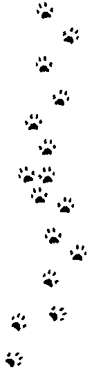Cat Paw Print Clip Art